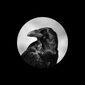 女子排尿视频大全图片
