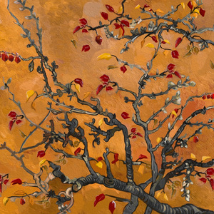 女子排尿视频大全图片
