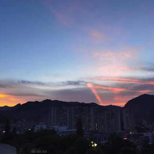 女子排尿视频大全图片
