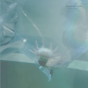 女子排尿视频大全图片
